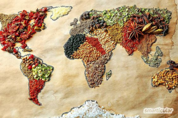 Global Flavors, Local Ingredients: Vedic Shrushti Culinary Inspirations.